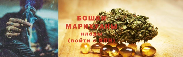 ГАЛЛЮЦИНОГЕННЫЕ ГРИБЫ Михайлов