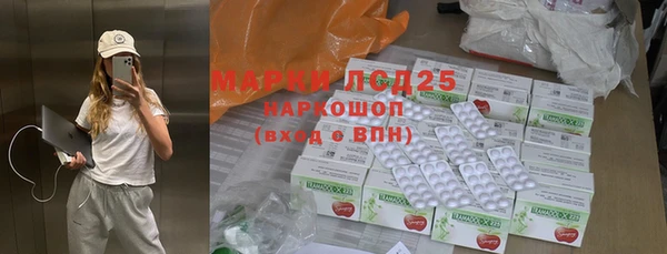 ГАЛЛЮЦИНОГЕННЫЕ ГРИБЫ Михайлов