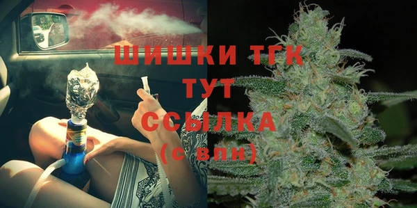 ГАЛЛЮЦИНОГЕННЫЕ ГРИБЫ Михайлов