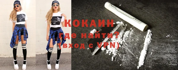 ГАЛЛЮЦИНОГЕННЫЕ ГРИБЫ Михайлов