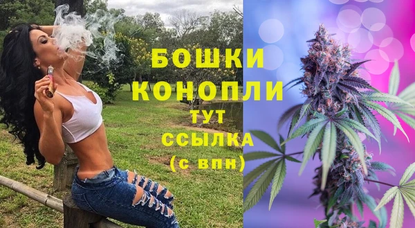 ГАЛЛЮЦИНОГЕННЫЕ ГРИБЫ Михайлов