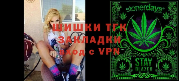 ГАЛЛЮЦИНОГЕННЫЕ ГРИБЫ Михайлов