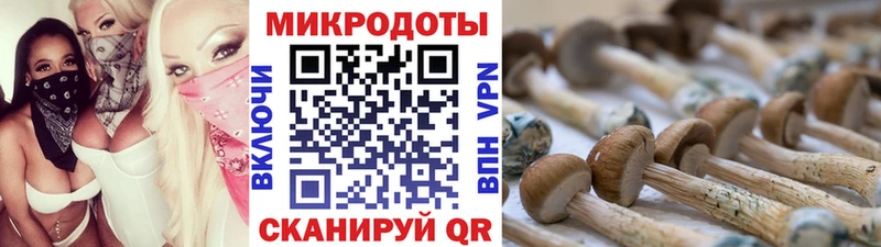 Галлюциногенные грибы MAGIC MUSHROOMS Порхов